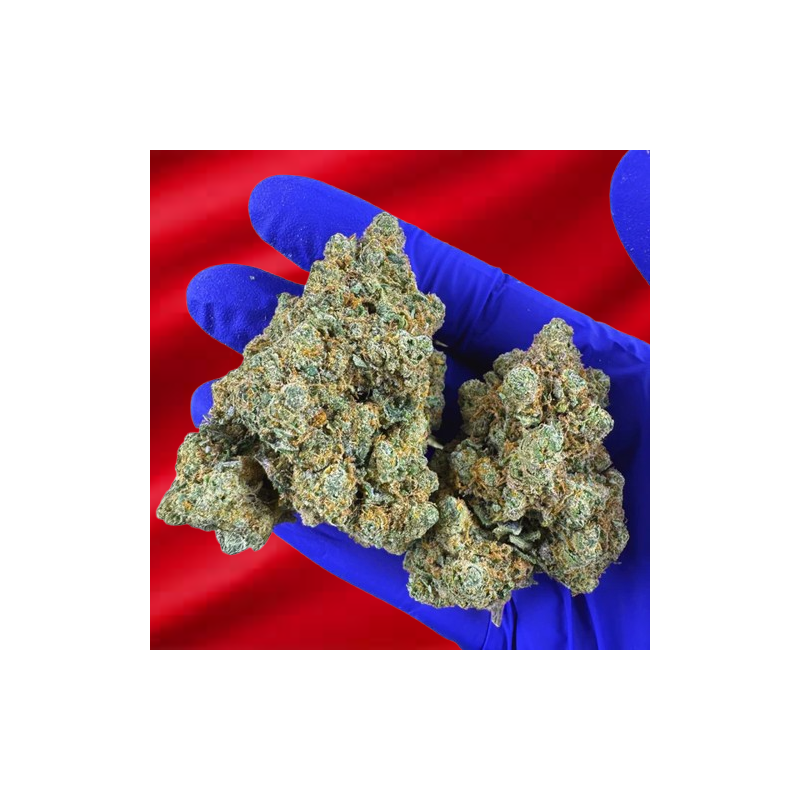 Lemon Haze Tsunami