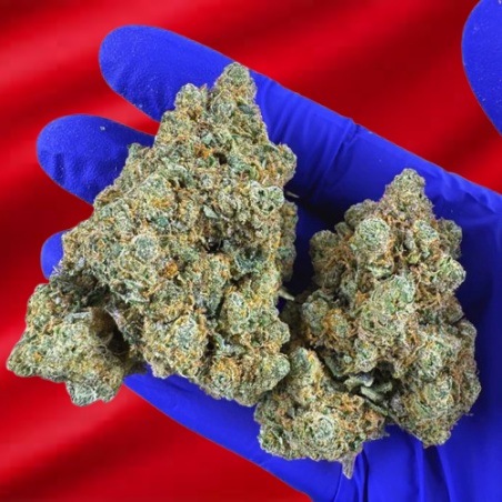 Lemon Haze Tsunami