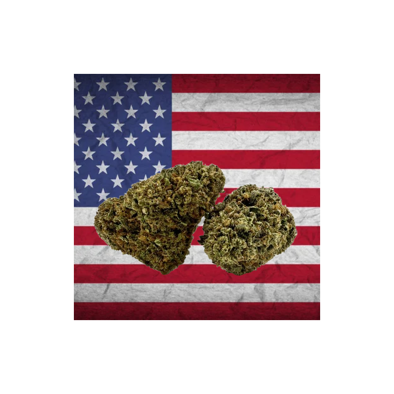 Cake Berry US CBD