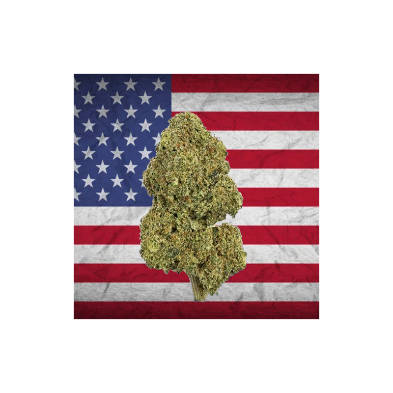 Payton Ice US Hydro CBD