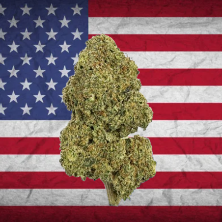 Payton Ice US Hydro CBD