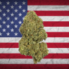Payton Ice US Hydro CBD