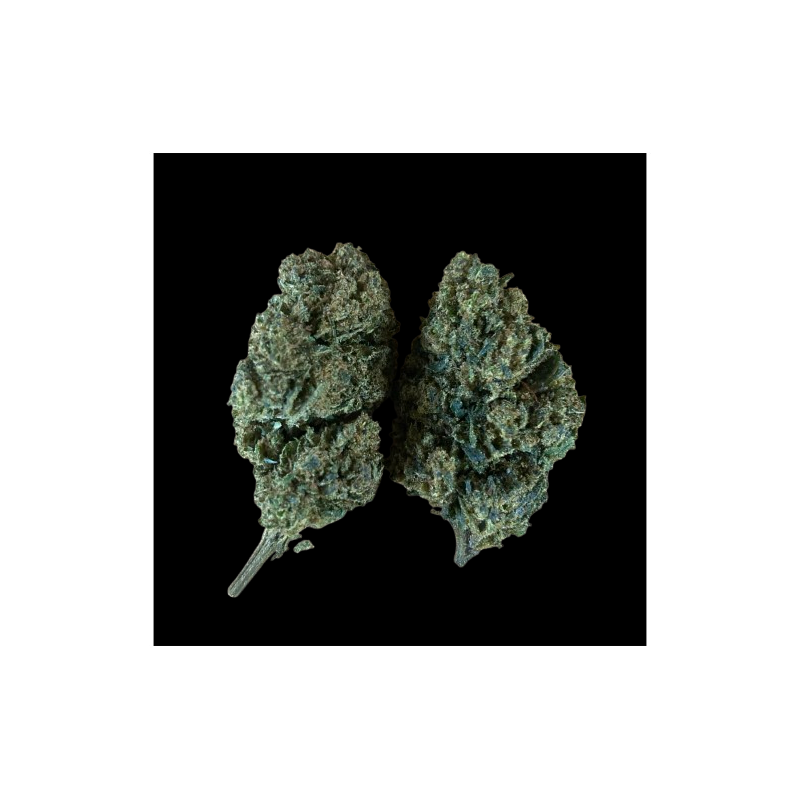 Jack Herer H10 40%