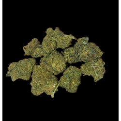 Small/Med Orange Bud H10 40%