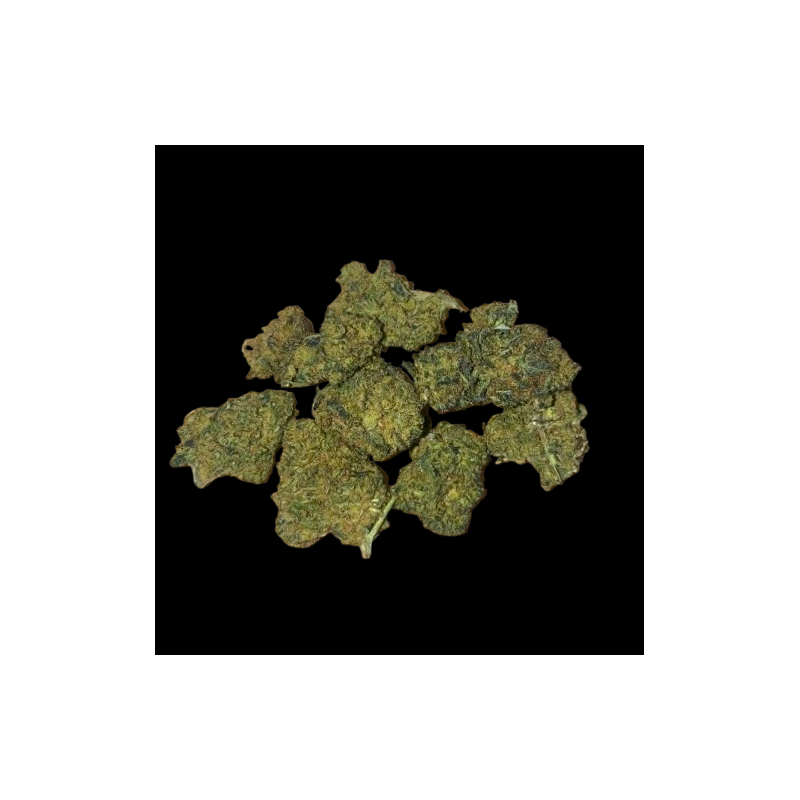 Small/Med Orange Bud H10 40%