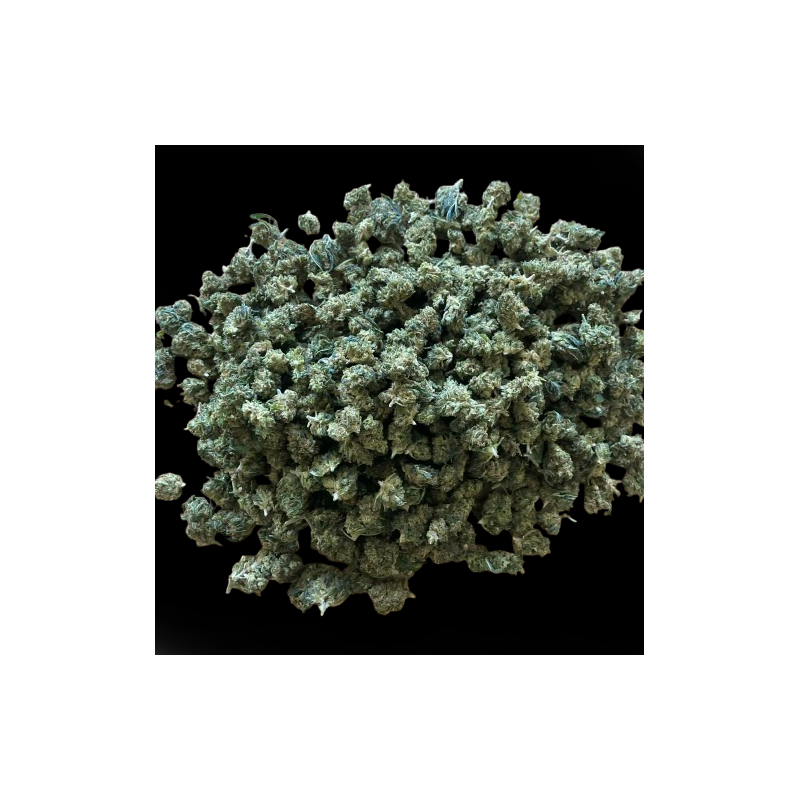 Small/Medium Lemon CBX 40%