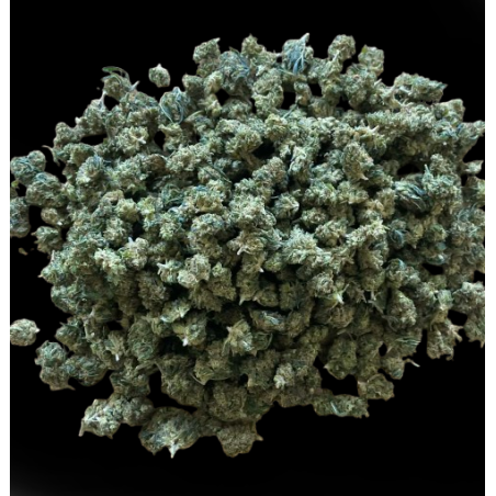 Small/Medium Lemon CBX 40%