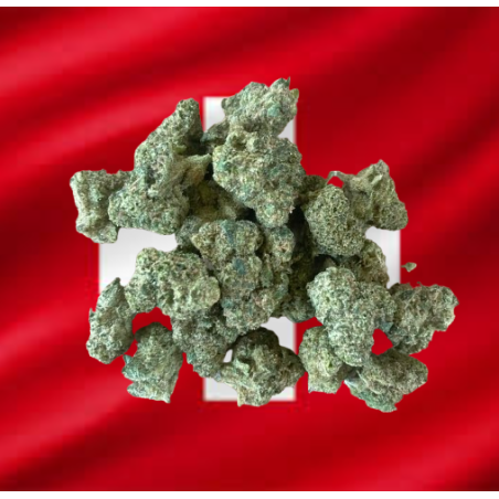 Small White Kush Hydro