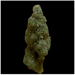 Super Silver Haze TH-NZ 40%