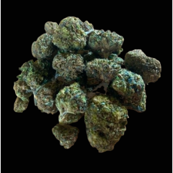 Small/Med Bubba Kush CBX 40%