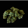 Small/Med Candy Rain CBX 30%