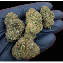 Cosmic Kush CSA 40