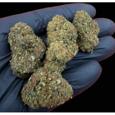 Cosmic Kush CSA 40