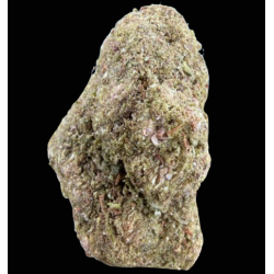 Cali-Mango CSA 40