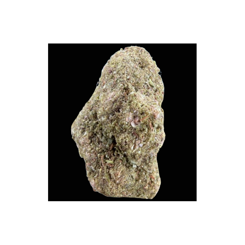 Cali-Mango CSA 40