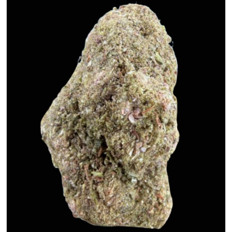 Cali-Mango CSA 40
