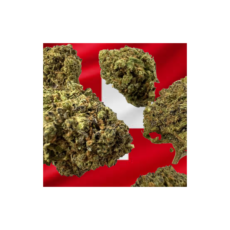 Medium Haze Berry CBD