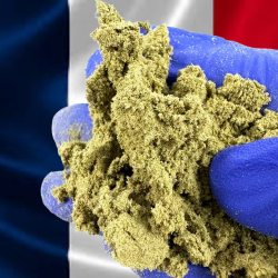 Marocain 25% CBD